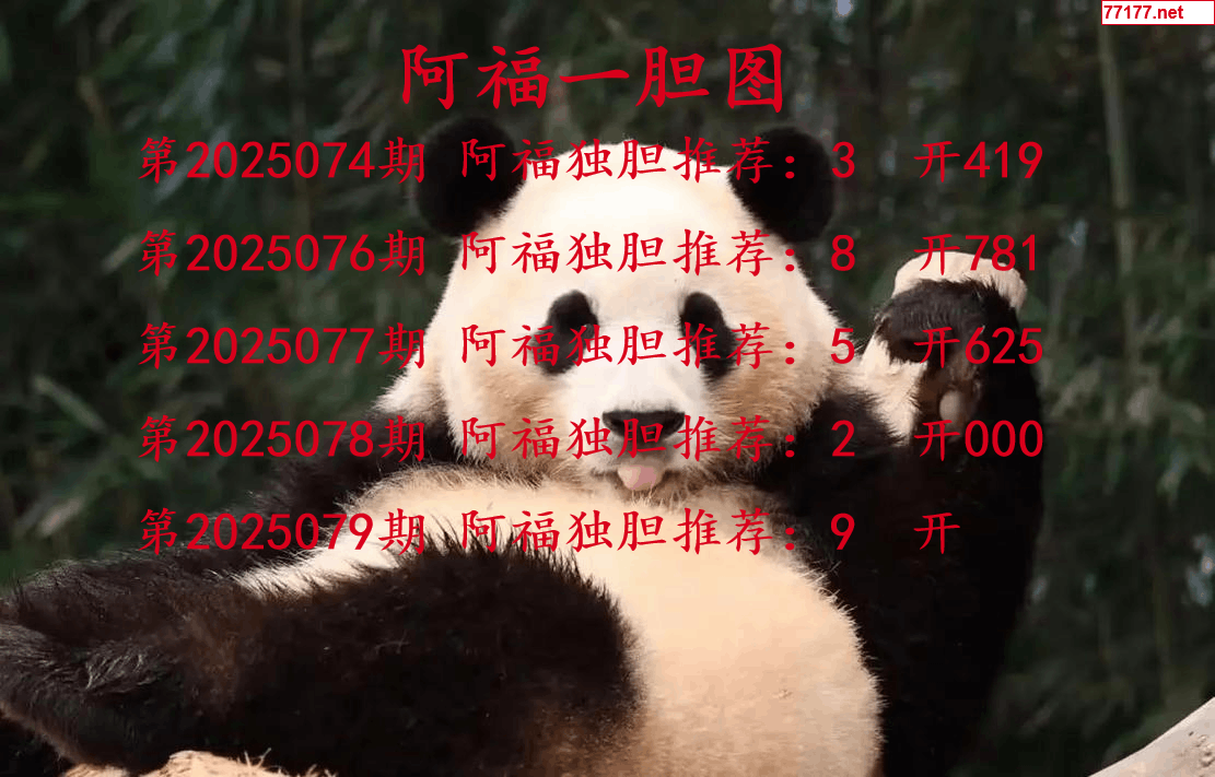 阿福图25年079期3d阿福一胆图