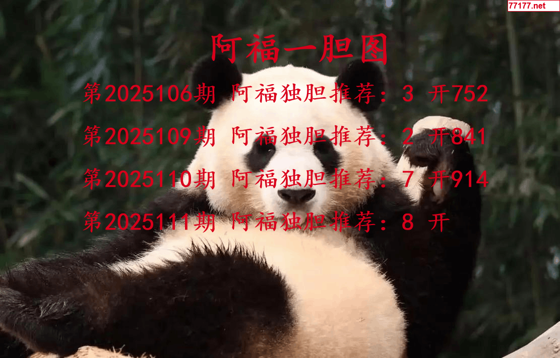 阿福图25年111期3d阿福一胆图