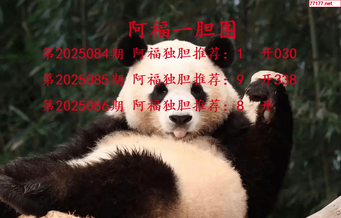 阿福图25年086期3d阿福一胆图